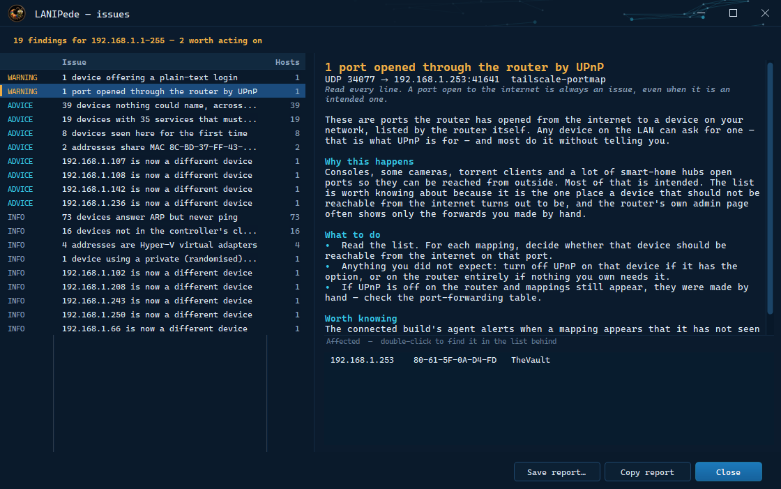 The Issues window: findings on the left, the selected one's write-up on the right